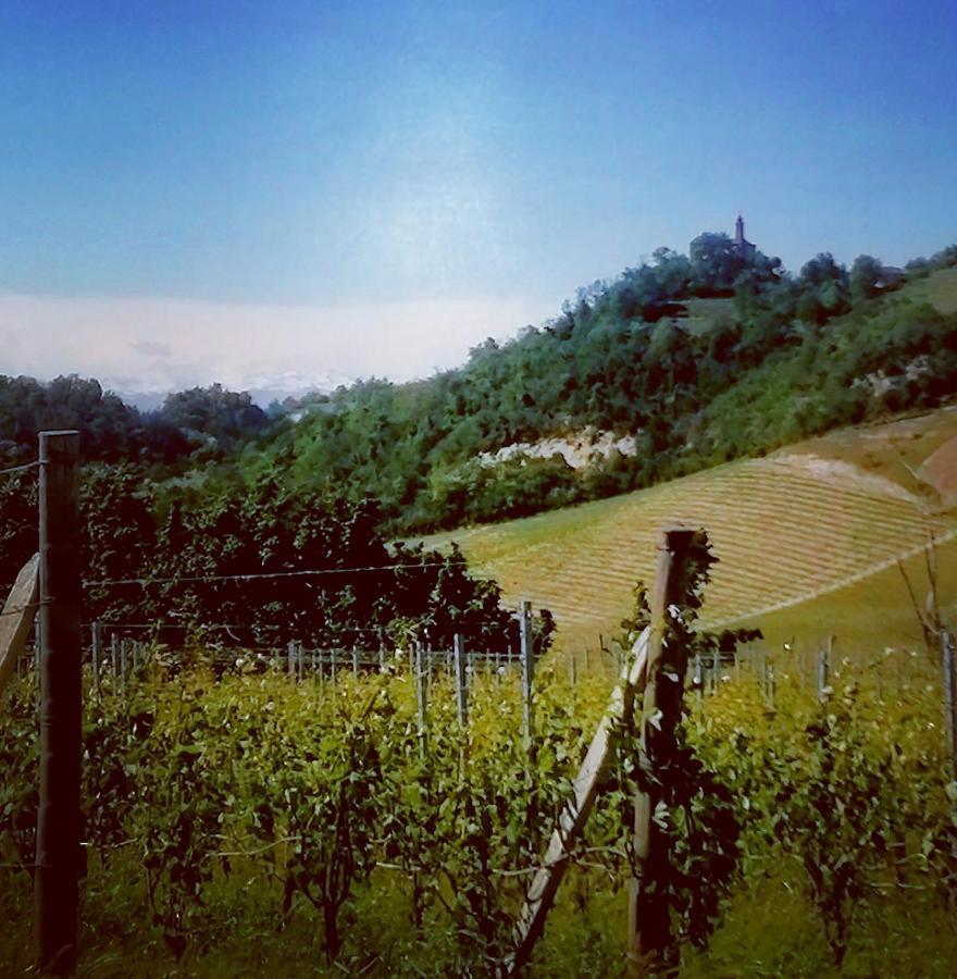 Teresa Al Belvedere Rooms&Holidayapartments Camere&Appartamenti Castellinaldo Exterior photo
